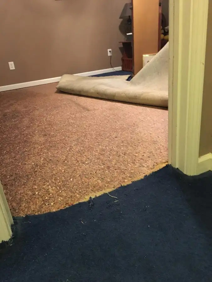 Carpet pad removal revealing water damage during Water Mitigation Services in Battlement Mesa